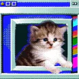 Gatinho saindo de um monitor retrô
