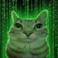 Gato com efeito Matrix